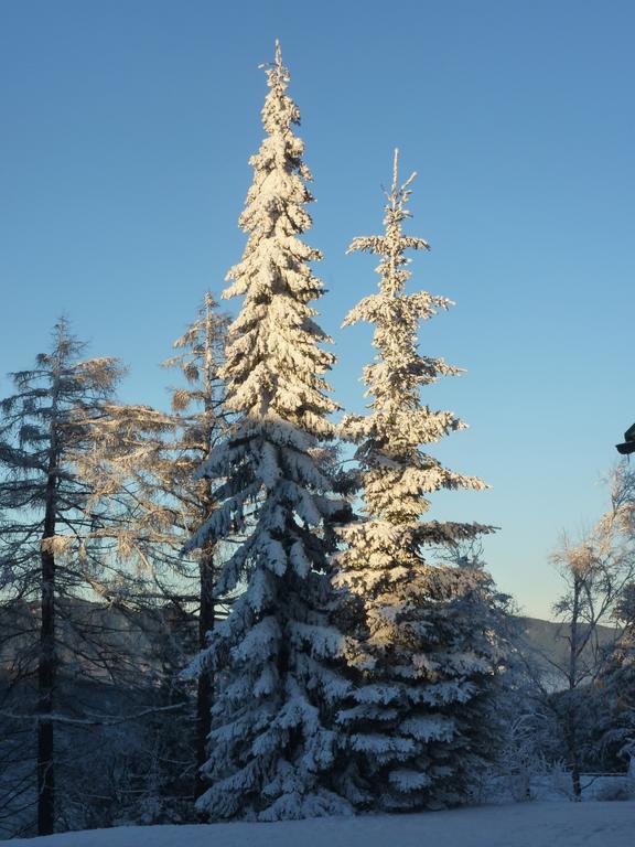 Der Loeffler Am Semmering Bed&Breakfast Exteriör bild